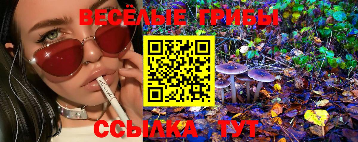 Псилоцибиновые грибы MAGIC MUSHROOMS Балахна