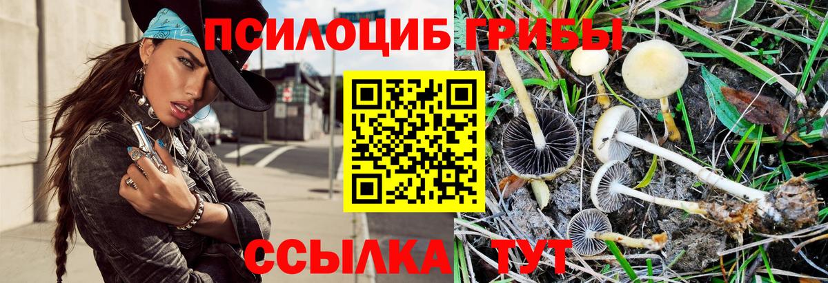 закладка  Галлюциногенные грибы прущие грибы  Галлюциногенные грибы Magic Shrooms  Вход с VPN  Балахна 